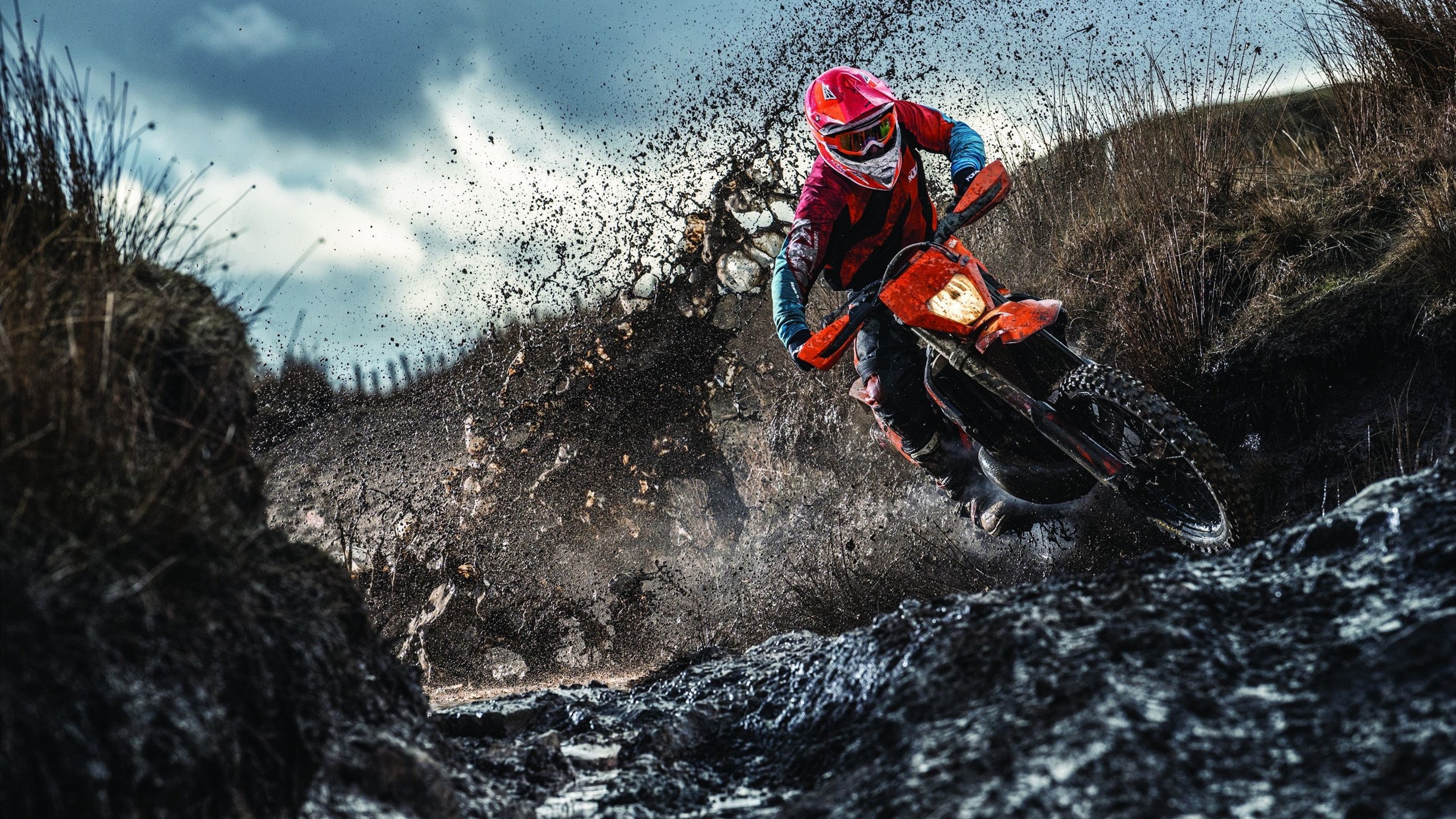 女子排球赛事火爆